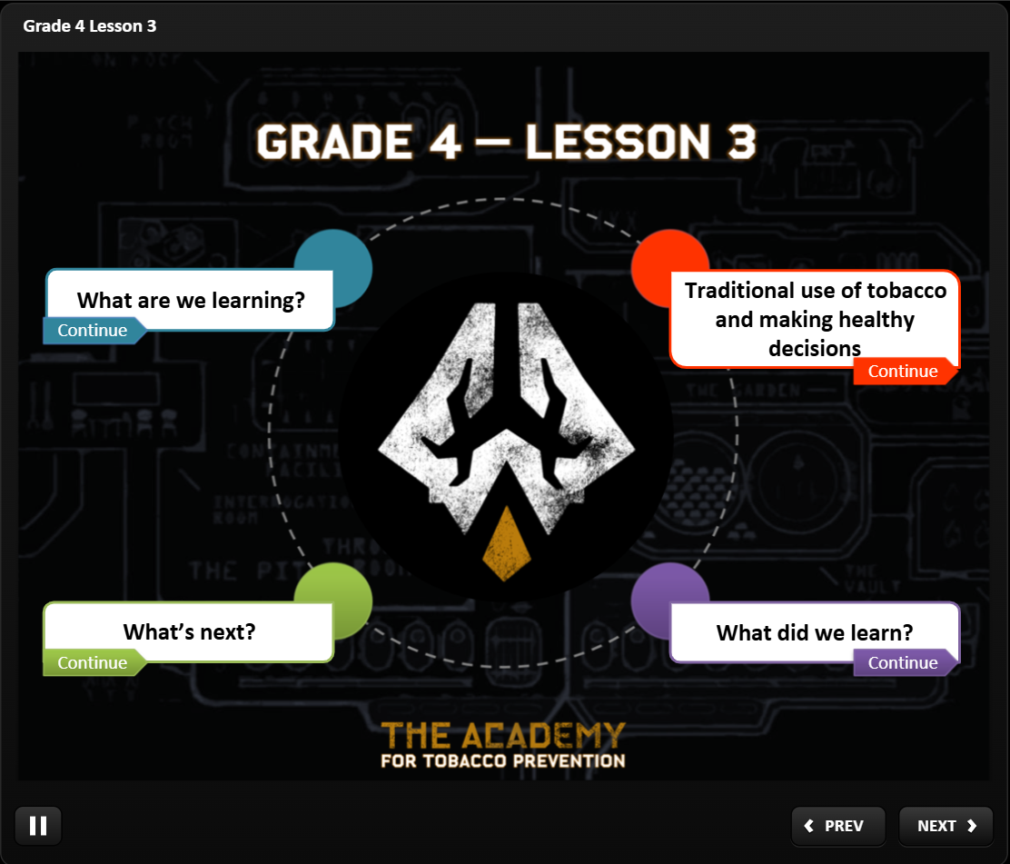 Grade 4 Lesson 3: Interactive eLearning module screenshot