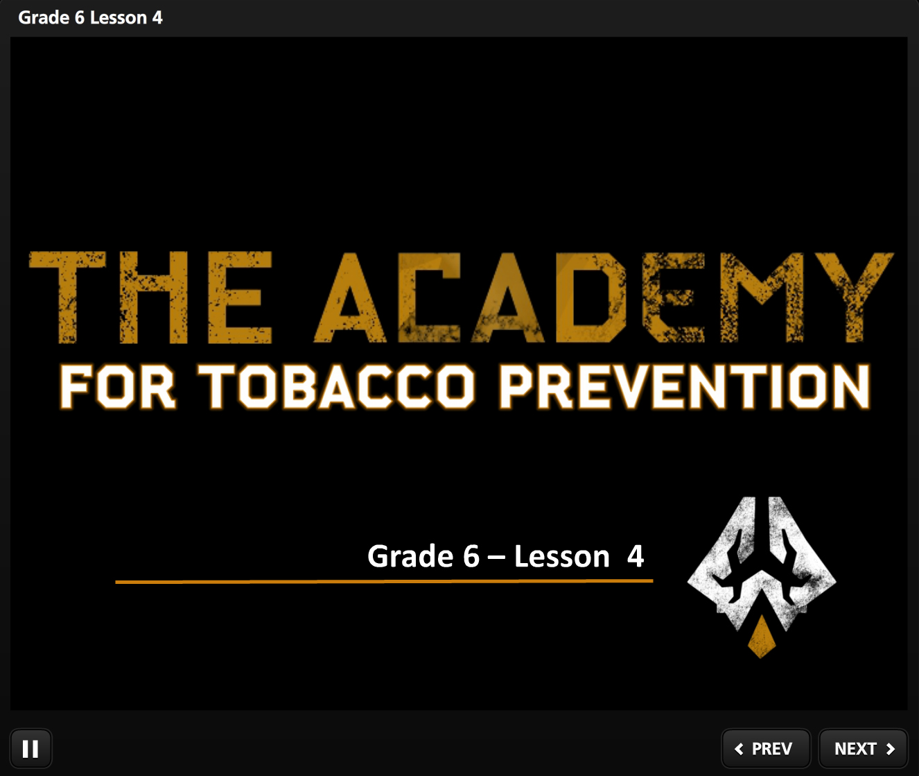 Academy Lesson Example G6L4